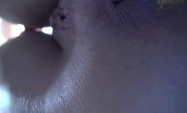 Rekord ng mga babaeng lihim na kinukunan ng pag-ihi sa mga pampublikong palikuran