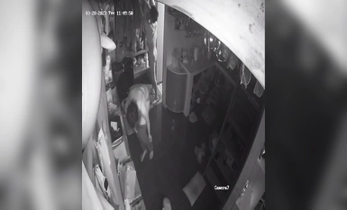 2023最新流出黑客 破解家庭攝像頭偷拍啪啪合集 小哥站著無套搞媳婦逼逼精液流了一地 (10)