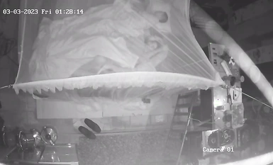 Ang pinakahuling 2023 na tumagas na hacker ay nag-crack sa home camera at lihim na kinunan ng video ang isang koleksyon ng mga sex video kung saan ang isang binata ay niloko ang puki ng kanyang asawa habang nakatayo nang walang condom, at ang semilya ay u