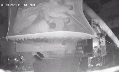 2023最新流出黑客 破解家庭攝像頭偷拍啪啪合集 小哥站著無套搞媳婦逼逼精液流了一地 (1)