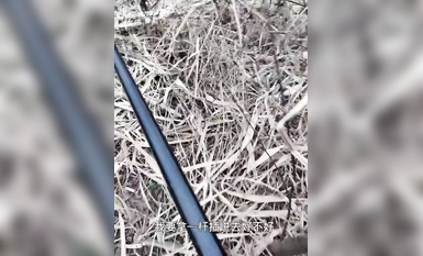 勾引河边钓鱼大爷