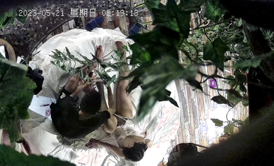 2023-5-21새 영화 익스프레스 에로틱 호텔 그린 리프 룸 HD 살짝 엿보기 ❤️ 색소 침착 한 미녀가 섹시한 에로틱 한 남자 친구를 입고 스벤 남자 친구를 놀려 사랑을 나누기 위해