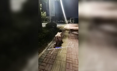 Bộ ảnh riêng tư qua điện báo trả phí mới nhất của con điếm đĩ "Xixi" khỏa thân đi dạo trên phố vào ban đêm trong một nhóm dâm dục P (1)