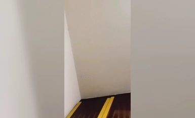 泣き叫ぶ母親への暴力的なレイプ。