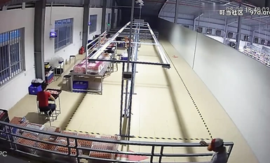 勁爆猛料監控偷拍 某工廠流水線主管潛規則女工，內射後一本正經裝作檢查工作幸虧主管是秒射男不然被發現了