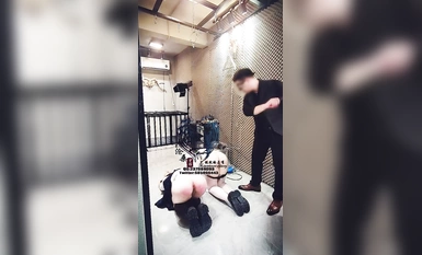 Male S Boss@Vicissitudes of Life Bundles and Train Many Bitches Collection (5)