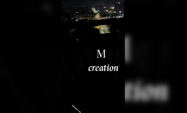 Mクリエーション・スケール・ビデオ・コレクション (4)