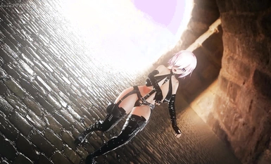 아이쿠닌 애니메이션의 거장 @시라카미 스케일 작품집 4 (11)