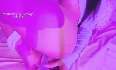 백호 복지부인 @ 타로 얌얌 최신 컬렉션 2 (10)