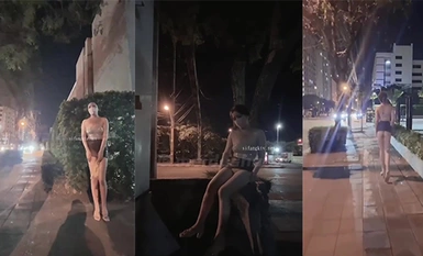 メドゥーサ四季作」第3弾 2 (2)