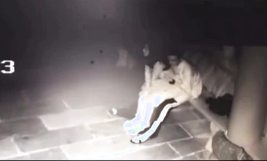 最新山東外事學院涼亭事件！教官與學生戶外涼亭啪啪啪多視角完整版影片流出！女上位坐在雞雞上不停的搖啊搖