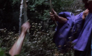 屌飛船奇遇記1080p.中文字幕