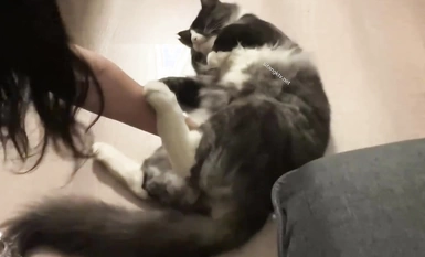 微密圈颜值身材天花板极品巨乳肥臀女神【纯情小初】付费私拍8