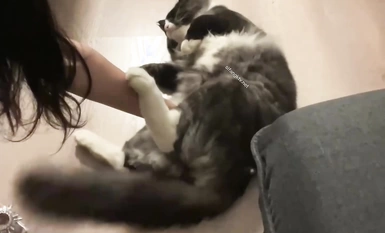 微密圈颜值身材天花板极品巨乳肥臀女神【纯情小初】付费私拍8