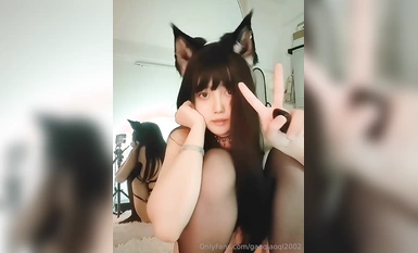 Kucing mutiara Takahashi Chirin