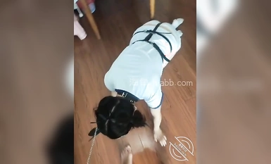 海角社區小芳姐姐母狗屬性爆發被榜一大哥虐成狗了，大雞巴硬灌我的騷穴！！