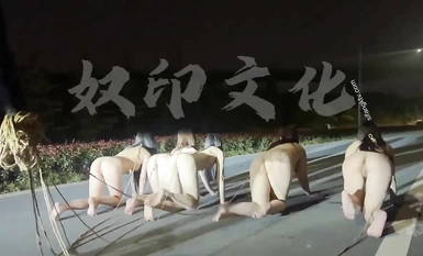 全裸露出，車上下來5條女狗，排排跪好大馬路上露出爬行