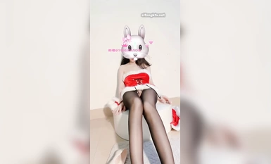 狸奴 (銜蝶) 視頻合集 (1)