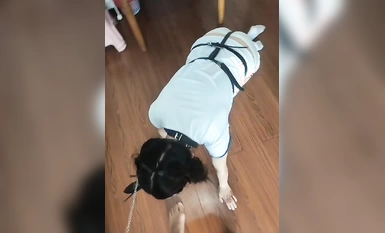 Haijiao Contrast Bitch-[Hu Jiuwan (dahulunya Sister Xiaofang)] Atribut perempuan jalang berusia 13 tahun milik Sister Xiaofang meletup dan dia telah diseksa menjadi seekor anjing oleh abang besar dalam senarai itu.