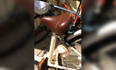 PIYO-190 Chick 5 周年。精子恐怖分子 - 我想把我的精子倒在那个可爱的女孩身上！