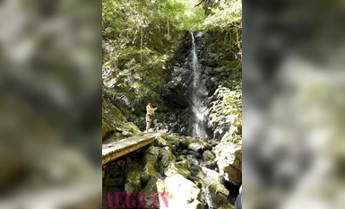 AEGE-025 Bursting Tits Exposed Lascivious Woman Maria Yumeno