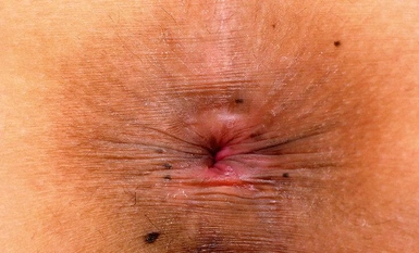 SABA-878 素人頭髮裸體百科全書～無毛絲男女版