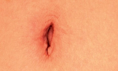 SABA-878 素人頭髮裸體百科全書～無毛絲男女版