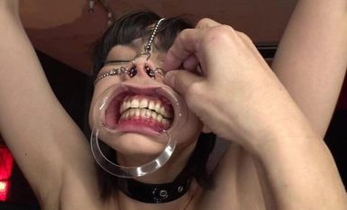 【馬賽克破壞】CLO-298 豬鼻肉廁所 東京周邊運送的懲罰 臼井茶流