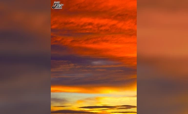 [モザイク破壊]NIMA-025 実写版！茜色に染まる若妻 前編後編～病室で僕の妻が寝取られた～