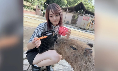 FC2-PPV-4265371 Lần chụp đầu tiên/lộ mặt! ! Giới hạn trong 3 ngày! ! Người phụ nữ dễ thương tối giản đáng yêu ◯ Một sinh viên đại học được đưa vào sâu trong rừng và xuất tinh vào miệng! ! Anh đưa cô vào phòng kín và xuất tinh hai lần vào cơ thể non nớt đang run lên vì sung sướng của cô! !