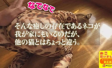 VOTAN-072 I kept a cat [POV] Jun Suehiro