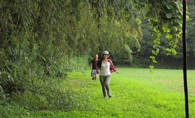 [Mozek Pemusnahan] SUWK-005 ``Ia adalah tapak perkhemahan di mana wanita boleh menikmatinya sendirian...'' Seorang perkhemahan solo yang cantik menjadi sasaran, diserang hendap di dalam tandas luar oleh orang yang tidak dikenali, diikuti, dan mero