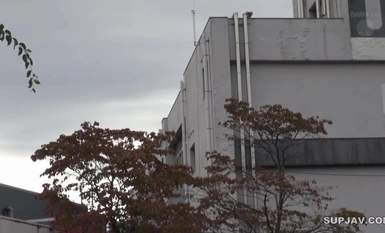 [馬賽克破壞]JUX-810 已婚婦女誘餌調查性騷擾列車～因公眾羞辱而墮落的身體～小在咲