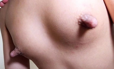 YAKO-047 「お前はホント卑猥な乳首をしてるな！」乳頭が24時間ニョキニョキの145cmのちびっこ娘、義父にイジめられる日々、実録。