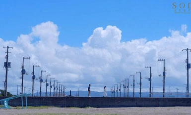 [马赛克破坏] STARS-990 我马上就要结婚了，我的爱人。在婚礼前的有限时间里，肆无忌惮的嫉妒和性欲被砸得粉碎。小仓优奈