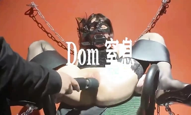 DOM 질식 컬렉션 (9)