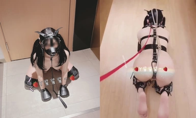 Twitter Lolita〖Y Jiangjiangjiang〗Anjing kecil humanoid yang comel dilatih oleh bapa pemiliknya disentuh keras oleh ayam jantan yang besar