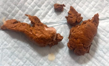 KBMS-167 自己拍攝的又臭又尷尬的排泄視頻