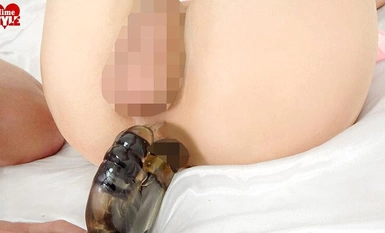 HSM-064 从清纯外表无法想象的敏感、霸气、美丽女孩 Hime dot Love Aoi Mai 2nd IMPACT