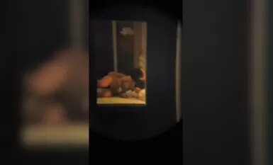 最近花了1000多大洋買了個60倍單筒高清望遠鏡偷窺對面樓的無限好風光1080P高清無水印