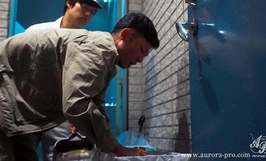 [モザイク破壊]APNS-339 令嬢調教 懐妊までの地獄の30日間 葵みれい