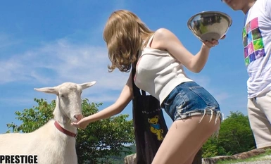 YRK-012 Gusto mo bang laktawan ang trabaho ngayon? ×PRESTIGE PREMIUM 22