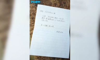 [モザイク破壊]IPIT-033 美容も仕事もHもストイックな気品のある丸の内OL 僕らには手の届かない才色兼備AVDebut 美澄玲衣