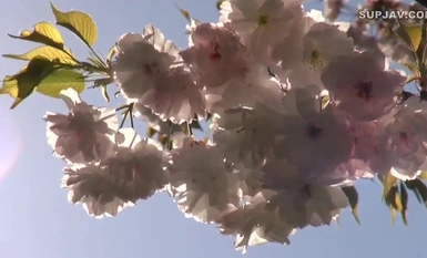 [モザイク破壊]NITR-011 息子たちよ、母を抱け ママ母を奪い合うムスコ 横山みれい