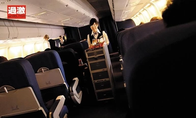 AVOP-00603 自然高 15 週年工作性騷擾者係列 2014 飛機性騷擾者