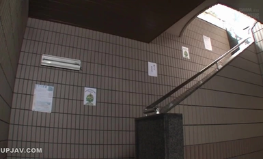 [Mosaic Destruction]RBD-564 ครูหญิง Abyssal Sex Service Sho Nishino