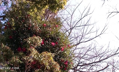 [馬賽克破壞]SOE-961 強姦女高中生放學後的背叛 流川莉奈