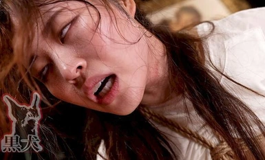 DOA-062 腹拳破壞 完整故事 腹拳