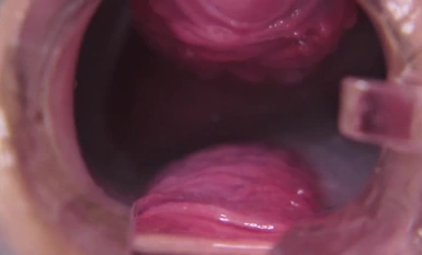 10musume 天然むすめ 031024_01 秘蔵マンコセレクション ～京子のおマンコ見てください～ 田辺京子