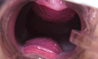 10musume 天然むすめ 031024_01 秘蔵マンコセレクション ～京子のおマンコ見てください～ 田辺京子